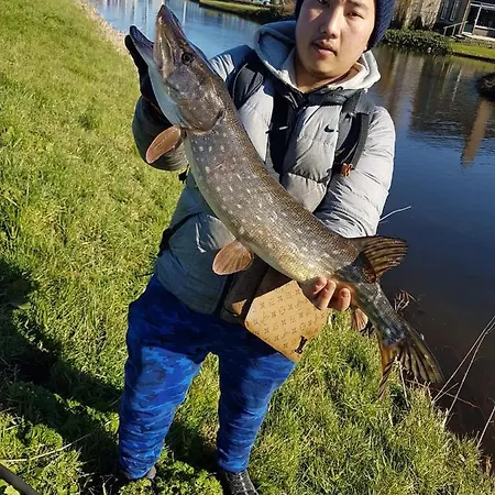 De Oude Rijn * Ter Aar