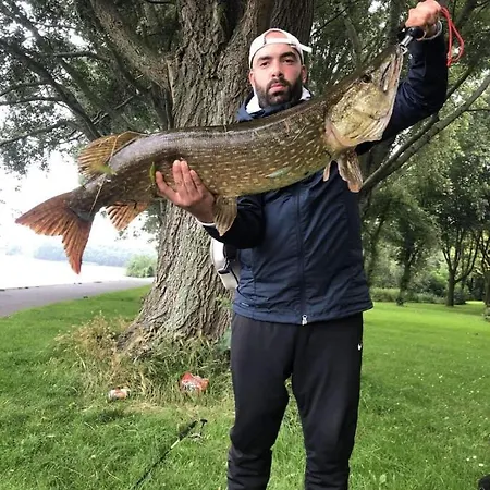 De Oude Rijn Ter Aar