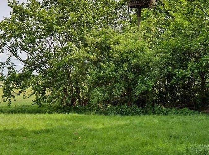 De Oude Rijn Ter Aar