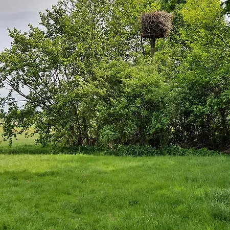 De Oude Rijn Ter Aar