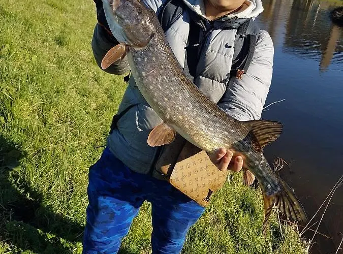 De Oude Rijn * Ter Aar