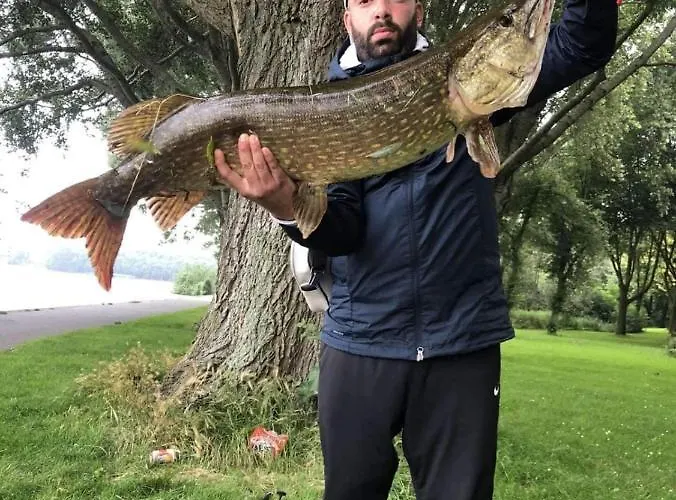 De Oude Rijn Ter Aar